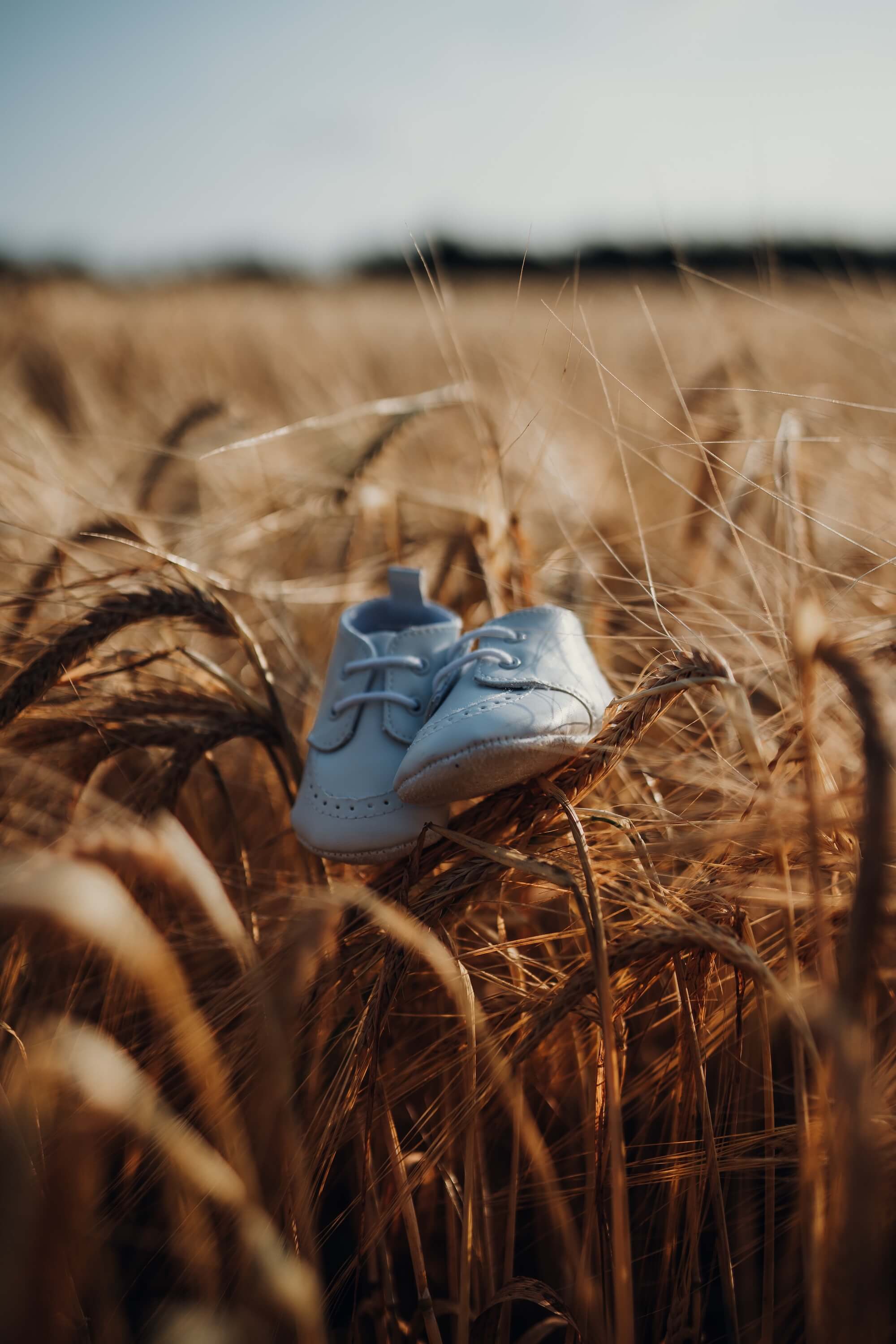 chaussons bébé dans un champ de blé