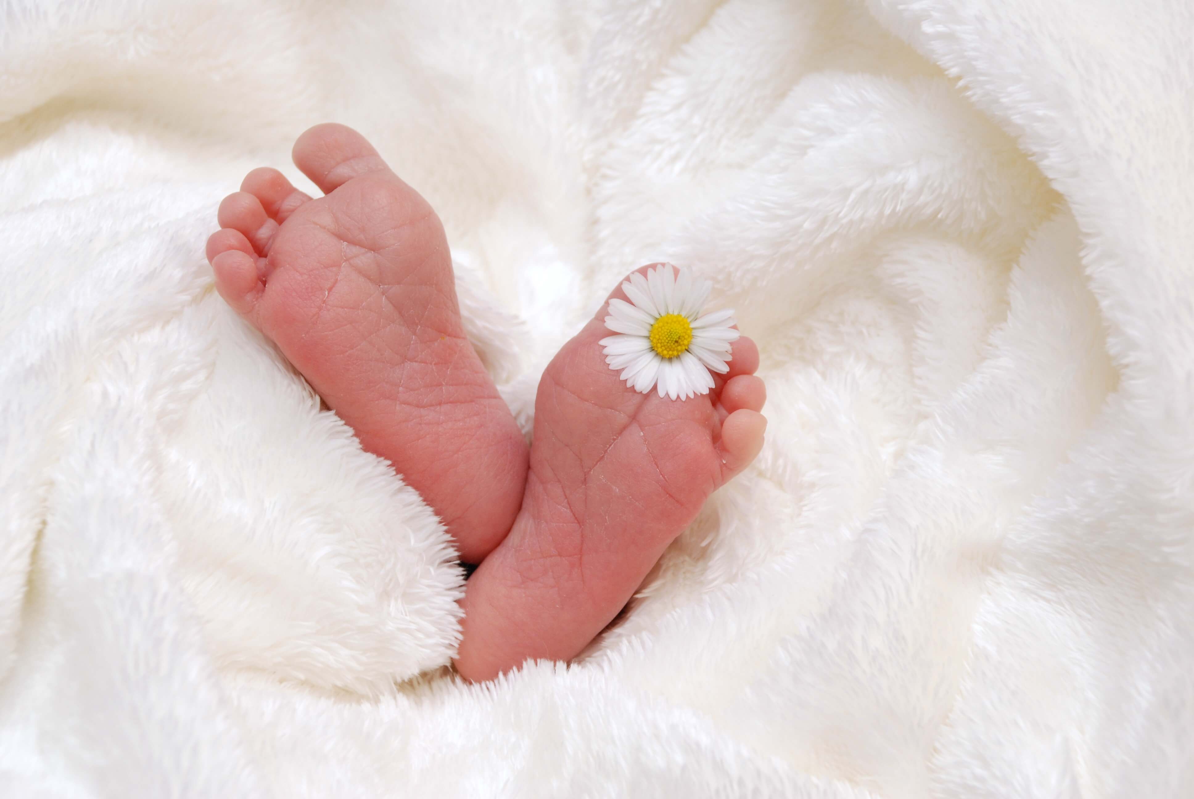 pieds de bébé dans des draps avec une fleur entre les orteils