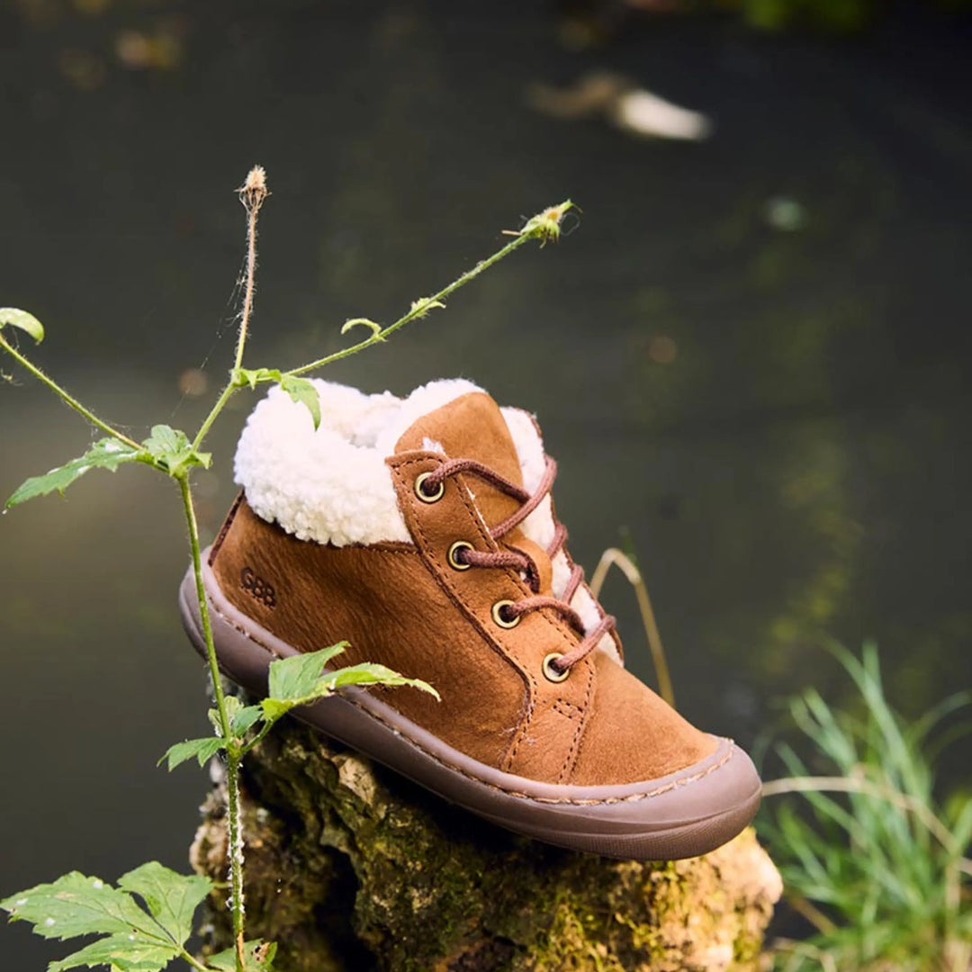 GBB Bottines Aboco Fourrées Marron ma petite pointure 