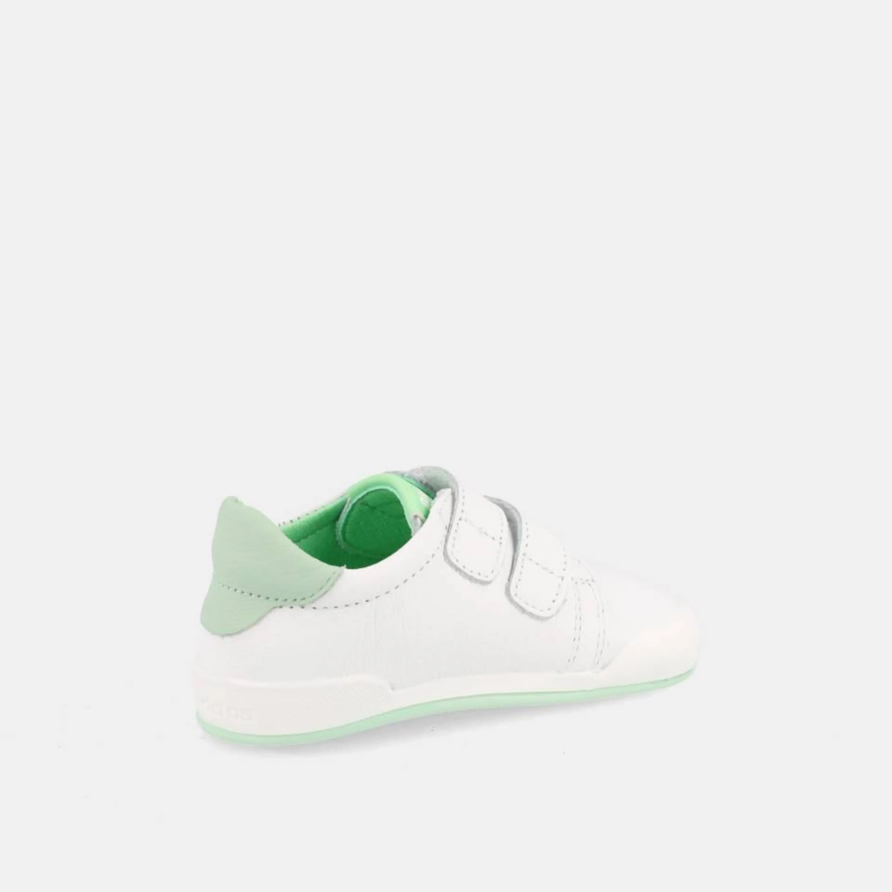 BLANDITOS Baskets Barefoot Londres Vert ma petite pointure 