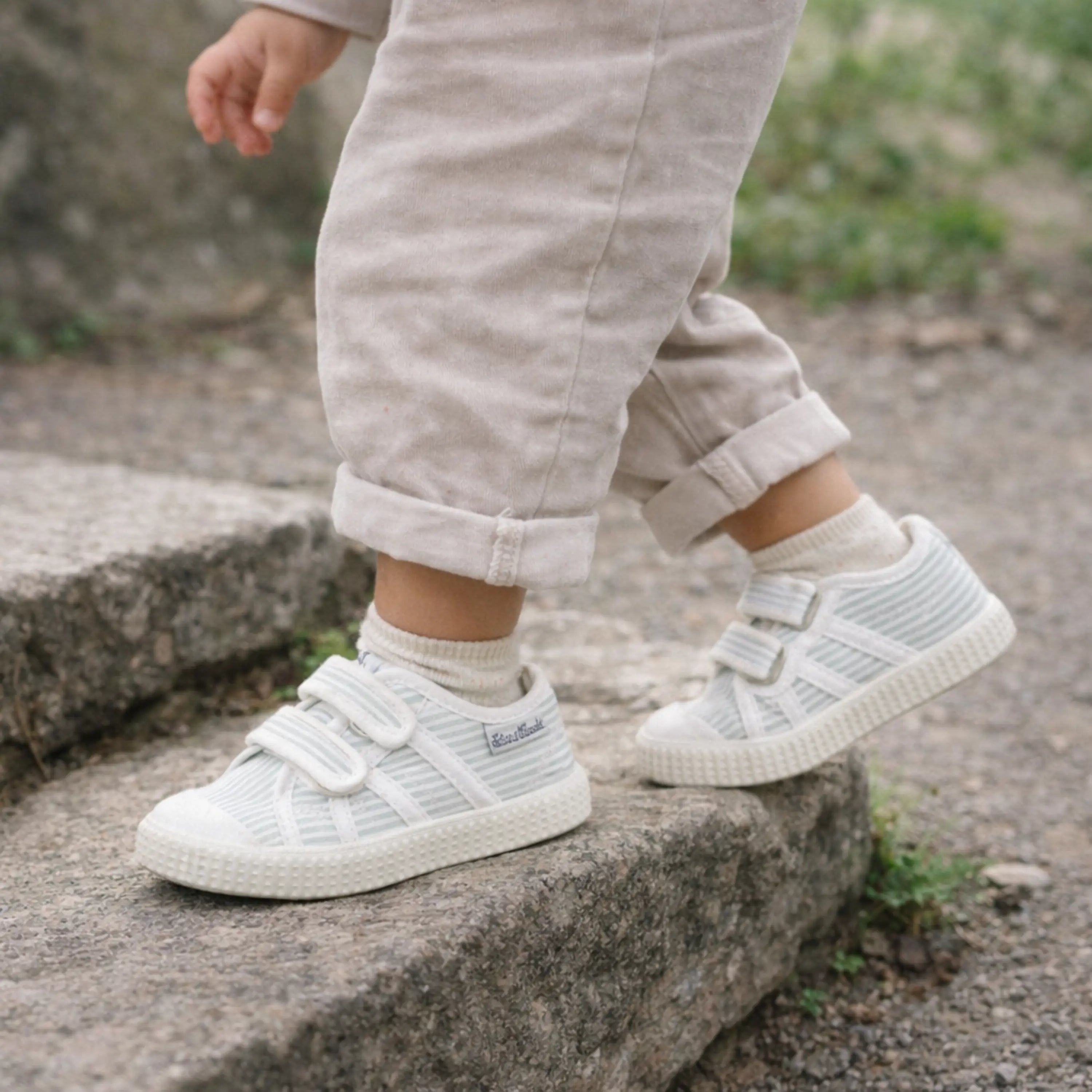 TARTINE ET CHOCOLAT Baskets en toile T&C 14 Easy Stripes Sauge ma petite pointure 