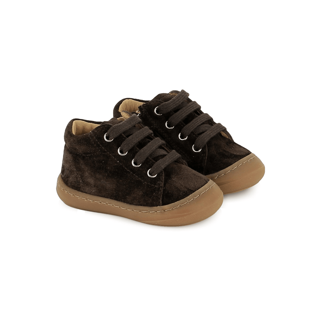 bottines garçon Tom Zip Lace Velours Truffe Shoo Pom