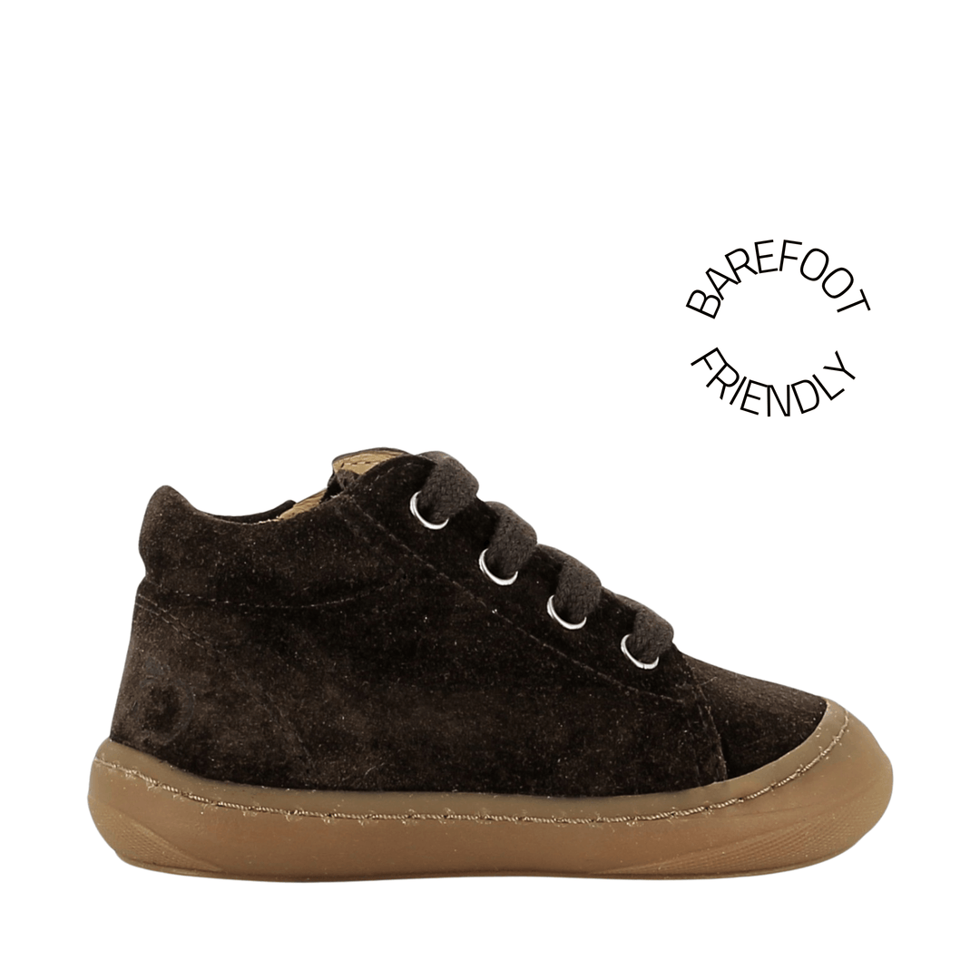 bottines Tom Zip Lace Velours Truffe Shoo Pom